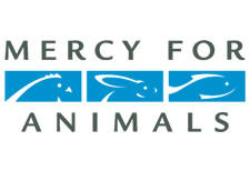 Mercy for Animals